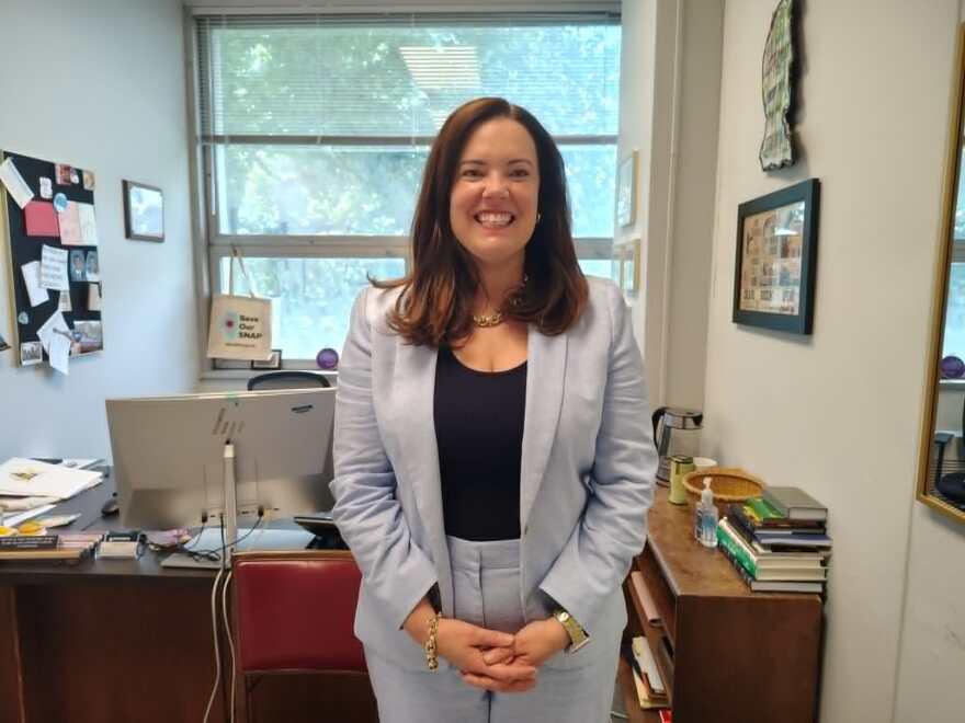 Democratic state Representative Laura Faver Dias, representing a suburb of Chicago, at the capitol in Springfield on May 19th, 2026.