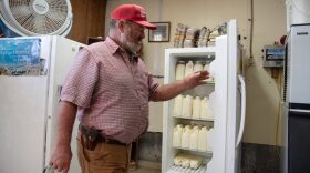 Doug Wiley shows a fridge of half-gallons of milk bottled that week. The yellow tint of raw milk is due to its concentration of vitamin A, he claims.