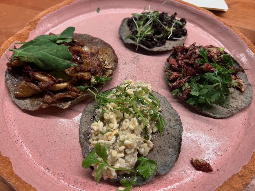 These tacos were made in Mexico City with heirloom maize tortillas and chicatana ants (top), grasshoppers (right), escamol (bottom), and heirloom mushrooms (left).