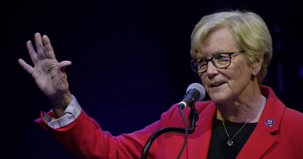 Chellie Pingree says President Donald Trump 'wasted citizens' time' with national address