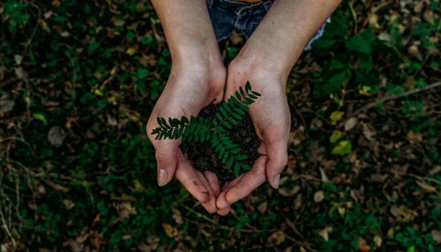 Noah Buscher unsplash.jpg