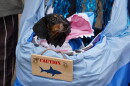 Dachshunds of Columbia held its annual "Halloweenie Walk" on Saturday, Oct. 17, 2026 in Columbia, S.C.