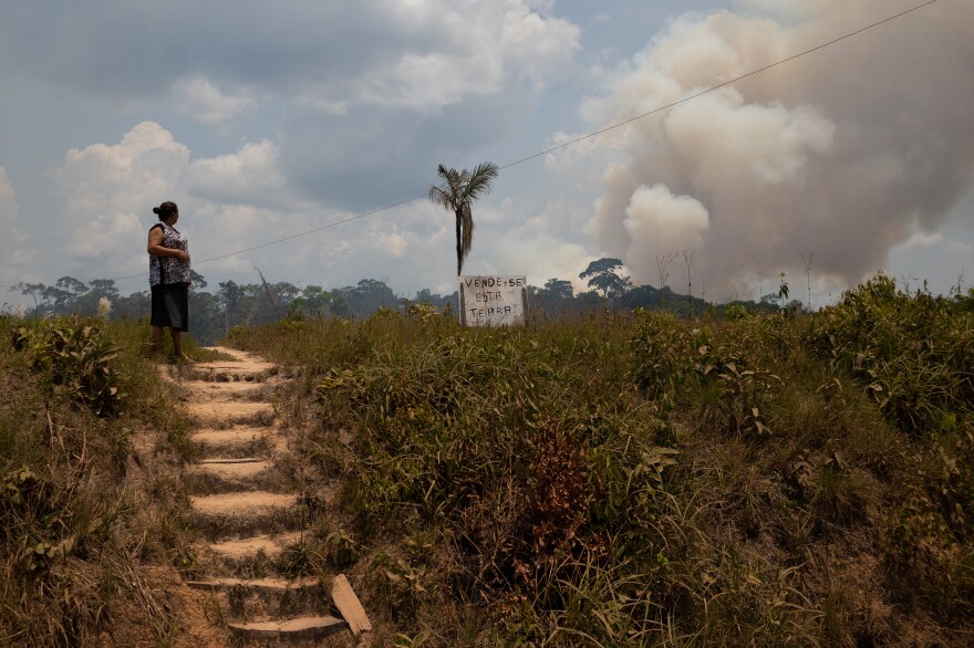 Deforestation In Brazil Is Changing The Weather, Hurting Farms : NPR