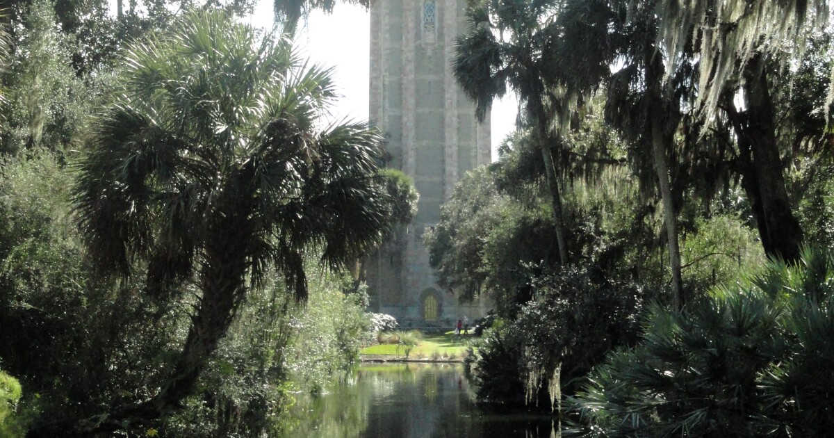 are dogs allowed at bok tower