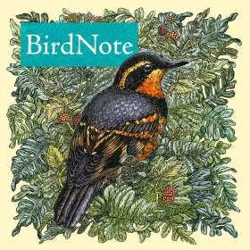 Bird Note
