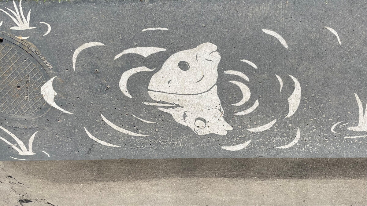 Street art brings awareness to water quality - Vimarsana News