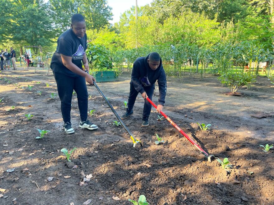 Kingston Wizzart, 14, and Quran Franklin, 15, rake a patch of soil where dinosaur kale and collard greens grow.