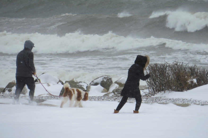 People walking in the snow