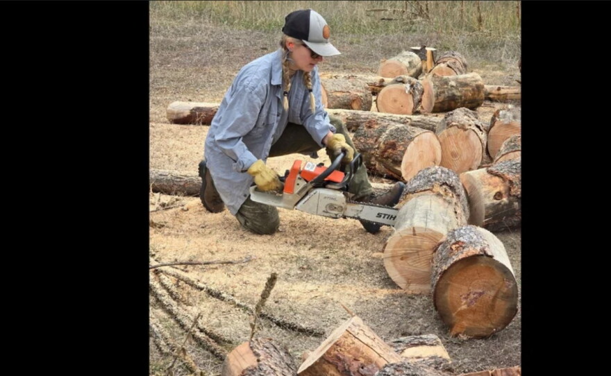 October 22, 2026 - Thank you to Suzanne Grist for this week's picture of the week. Firewood season up Ninemile Creek. 