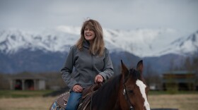 A woman in a grey fleece sits atop a horse with a white stripe along its nose.