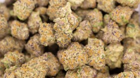 Marijuana at the Sacred Herb dispensary in Sapulpa, Okla.