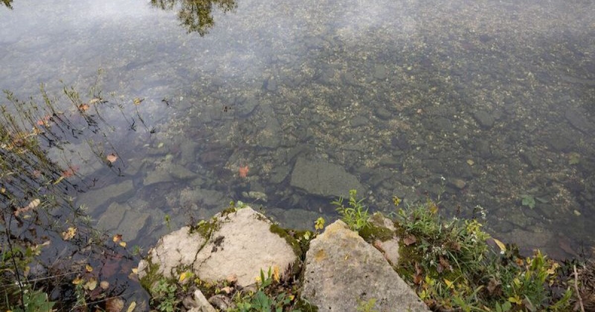 Streams can reveal a lot about the health of ecosystems