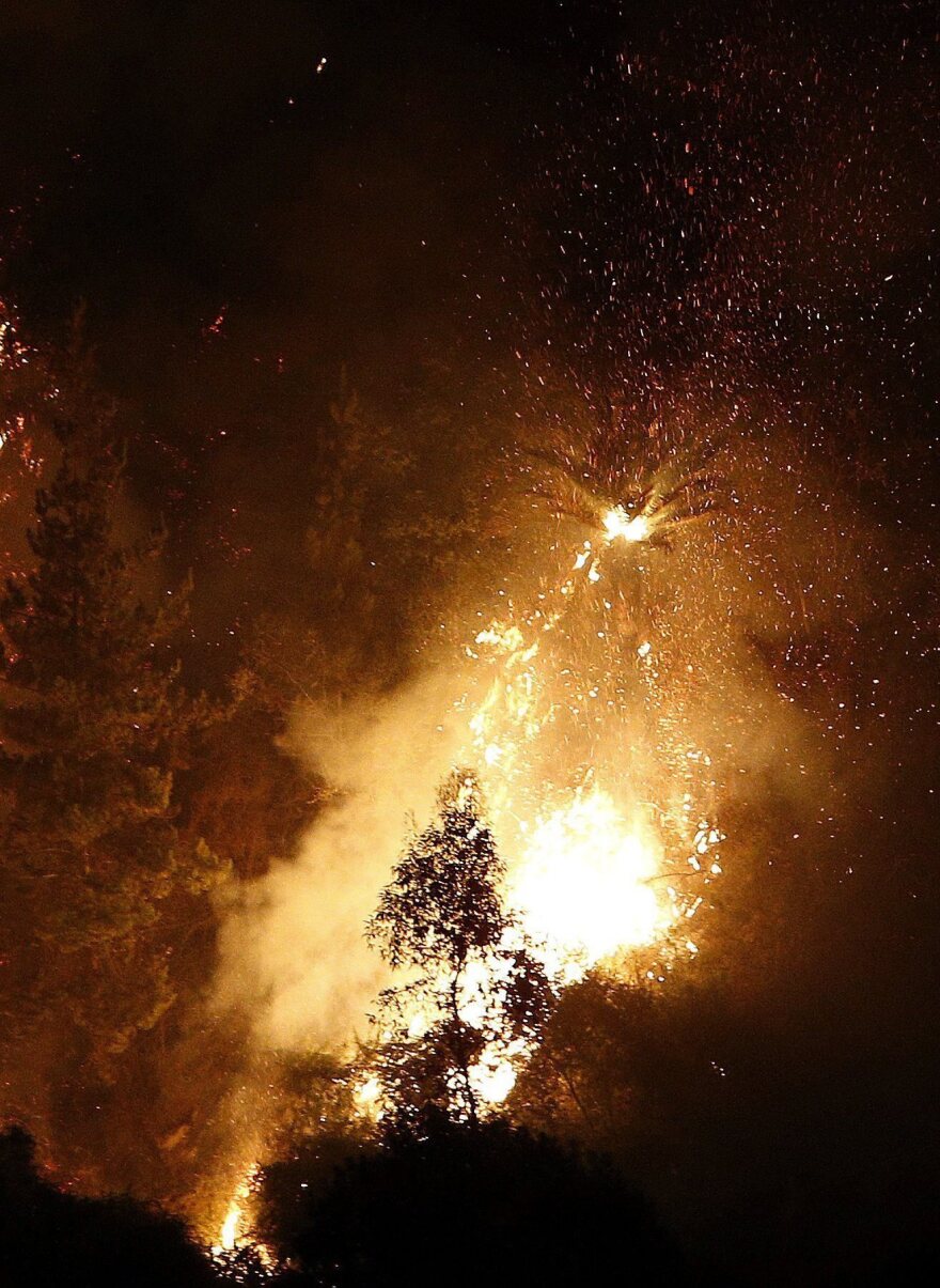 Flames engulf trees on the outskirts of Valparaiso on Saturday.