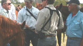 Riding in style to Disney Wilderness Preserve