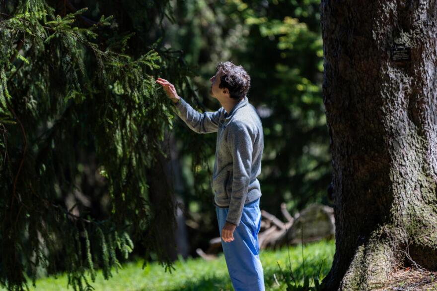  Dr. Michael Rosamilia takes in the smells and textures of trees during a forest therapy session. (Jesse Costa/WBUR)
