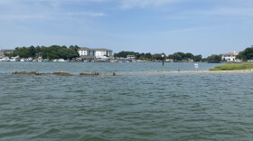 The Lynnhaven River in Virginia Beach near the Chesapeake Bay. (Image: Katherine Hafner)