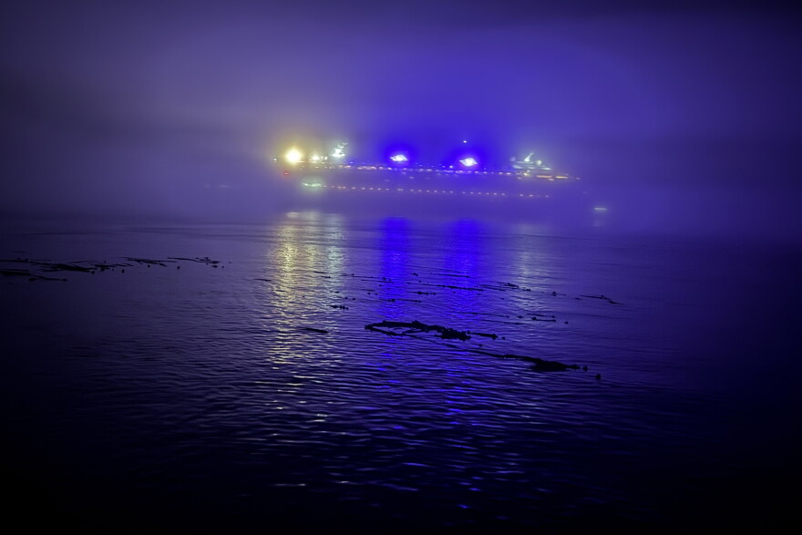 A Disney cruise ship motors through the predawn fog in British Columbia's Blackfish Sound, a hotspot for orcas and humpback whales, on Aug. 28, 2026.
