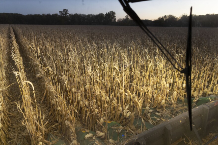 Corn combine