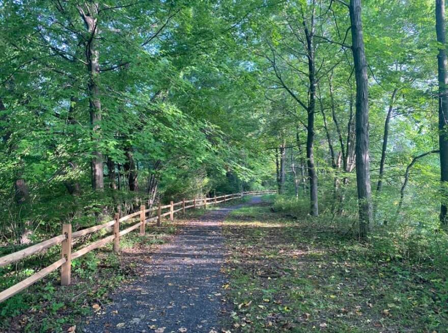 A crushed stone path runs along a wooden fence in the woods.