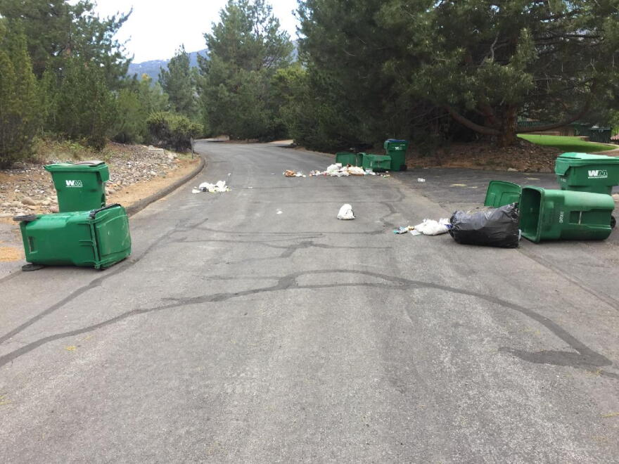 Typical attractants for bears include garbage, bird feeders, gardens, and more.