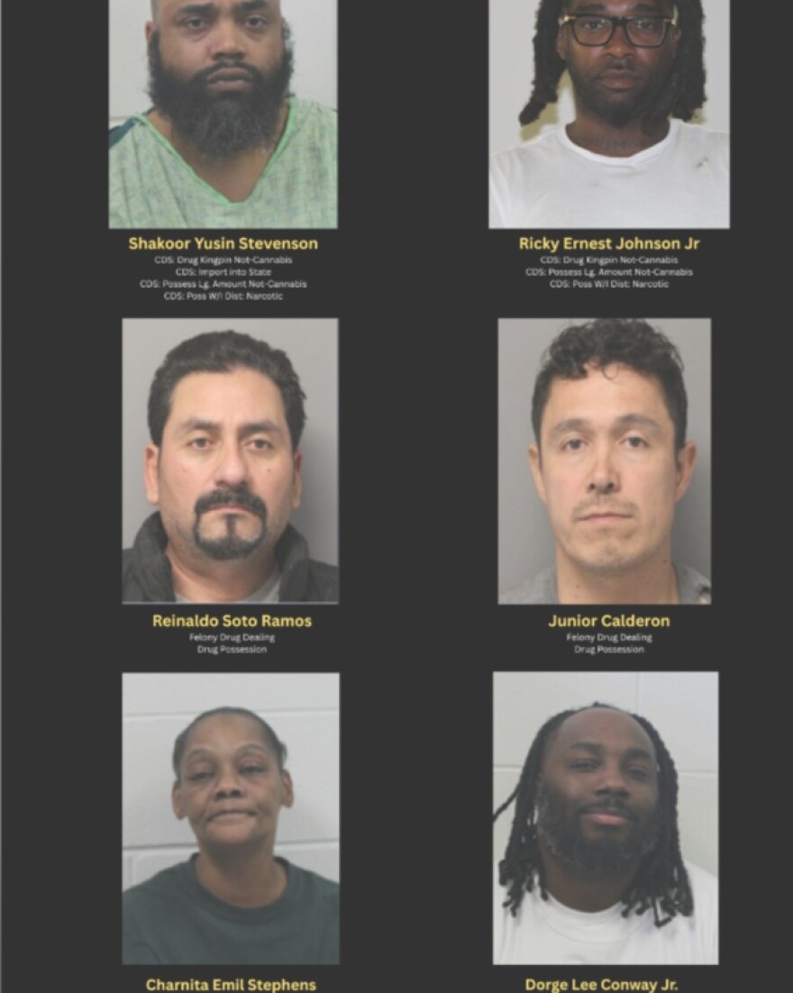 Suspects in Drug Bust