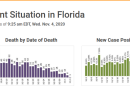Florida Department of Health coronavirus dashboard