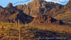 bonnie-shadow-carmens