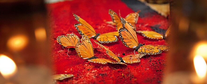 Monarch butterfly: These butterflies, which migrate to Mexico each fall, were believed to be the spirits of the ancestors coming to visit.