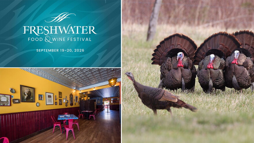 (Clockwise from top left) The Freshwater Food & Wine Festival, wild turkeys in Wisconsin and Café Corazón's Bay View location.