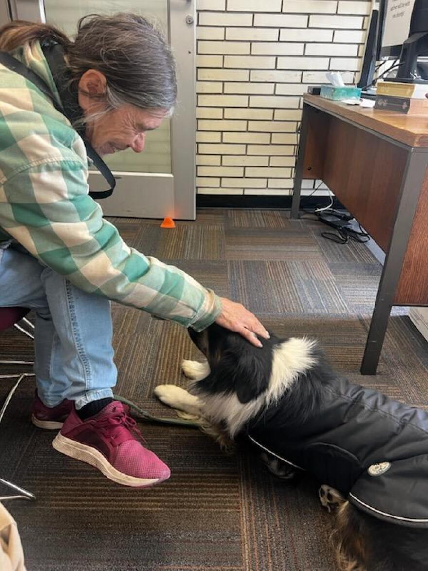 Beau is a border collie who was taken from an unhoused woman in downtown Eugene on Sept. 23 according to Eugene Police.