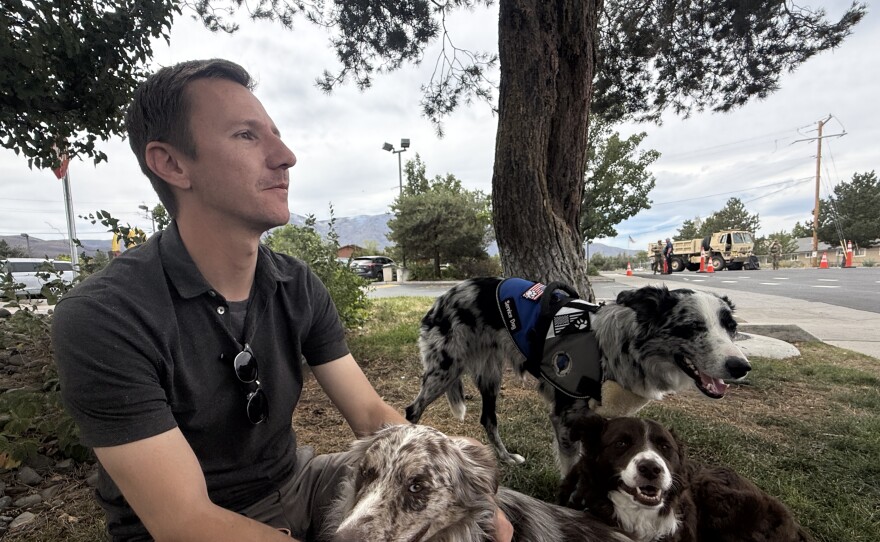 A man sitting under a tree with his three border collies resting or standing by his side.