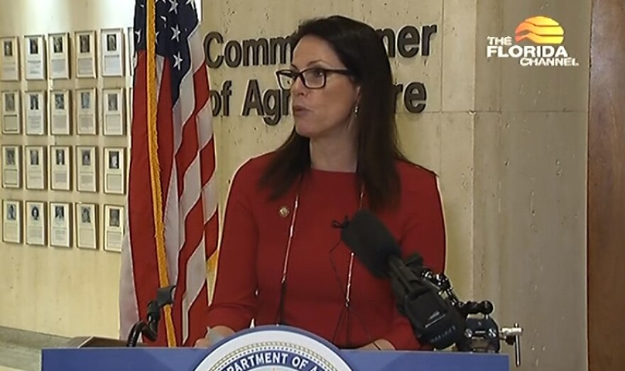 Florida Sen. Tina Polsky, D-Boca Raton, speaking at a press conference about her Senate Bill 1362 to regulate carbon emissions in an effort to reduce them.