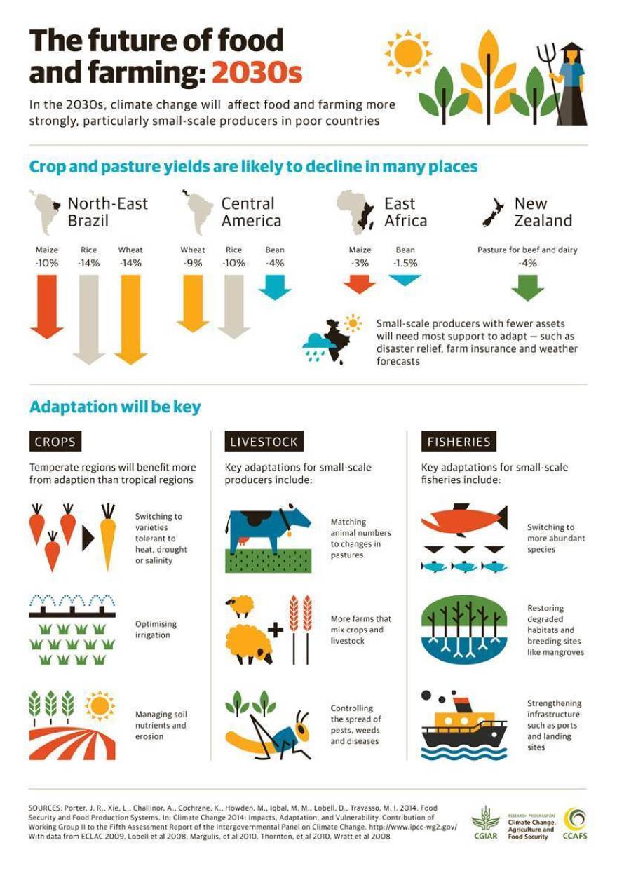 In the 2030s, climate change will affect food and farming more strongly, particularly small-scale in poor countries.