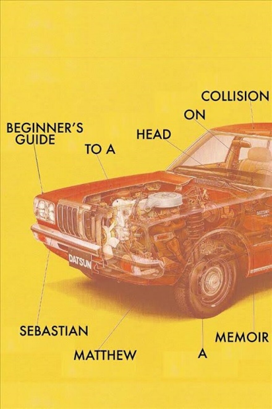 book cover for 'beginner's guide to a head on collision' 