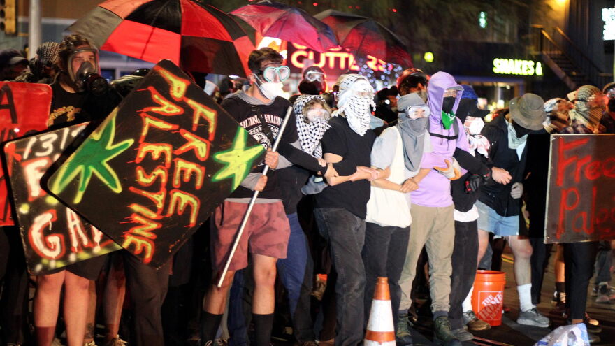 Pro Palestinian Protestors 5/9 hero sized