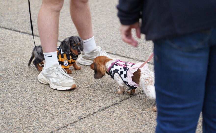 Dachshunds of Columbia held its annual "Halloweenie Walk" on Saturday, Oct. 17, 2026 in Columbia, S.C.