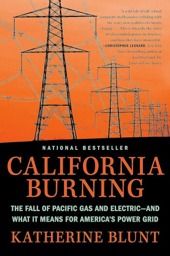 A series of powerlines on an orange background.