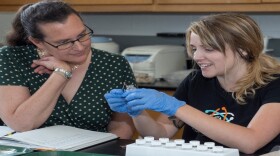 UC associate professor Brooke Crowley, left, works with her former student, UC graduate Maddie Greenwood, in Crowley's lab. 