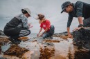 Native Hawaiian researchers measure total habitat where ʻopihi can be found to better understand their carrying capacity along the Kalaemanō Shoreline in Kona on Hawaiʻi Island. Non-profit organization Nā Maka Onaona created the methodology and the project was funded by PI-CASC.