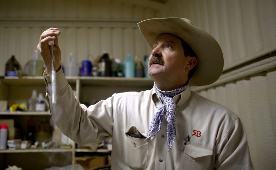 The R.A. Brown ranch sells straws of frozen bull semen, held here by owner Donnell Brown. His ranch is one of the top producers of Angus bulls in the nation.