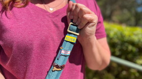 Close up of a woman in from the chest down. She holds up the strap of her purse and on it are pins that say "Believe," "Protect Trans Kids," and a third of two crows.