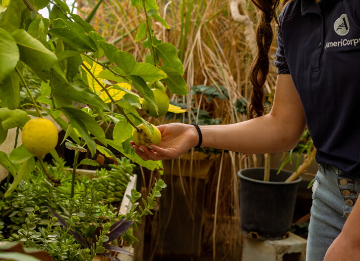 A person from ISU's AmeriCorps program holds a lemon. 