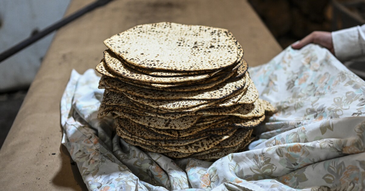 Matzo — the Passover bread of affliction and freedom — is a timely ...