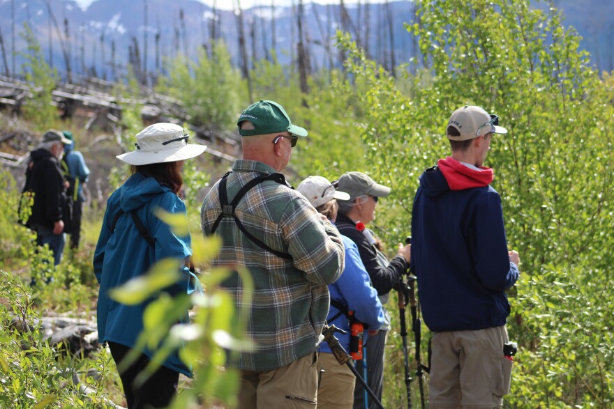 Hikers look for loons at Kelly Lake on Saturday, June 12, 2026 near Sterling, Alaska.