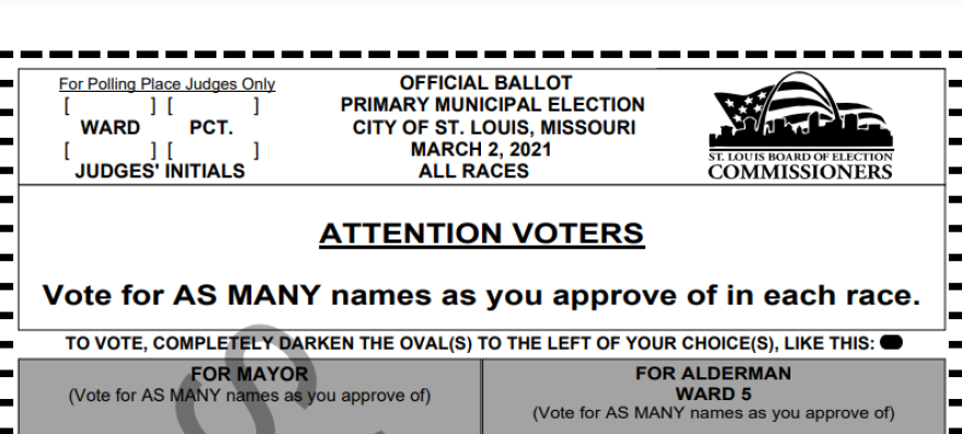 A screenshot of a sample ballot shows the reminders that voters will see when making their choices.