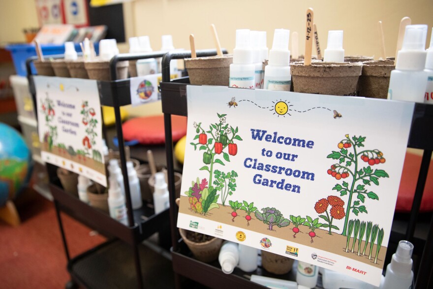 Small pots and spray bottles on shelves, with a sign reading "Welcome to our Classroom Garden"