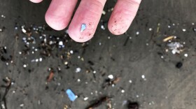 This Jan. 19, 2020 photo shows microplastic debris that has washed up at Depoe Bay, Ore. Dozens of scientists from around the U.S. West will attend a gathering this week in Bremerton, Wash., to better focus the research on the environmental threat. (AP Photo/Andrew Selsky)