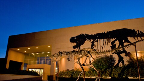 Big Mike in front of the Museum of the Rockies.