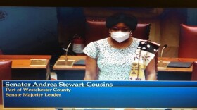 Senate Leader Andrea Stewart-Cousins speaks on the senate floor June 10, 2020