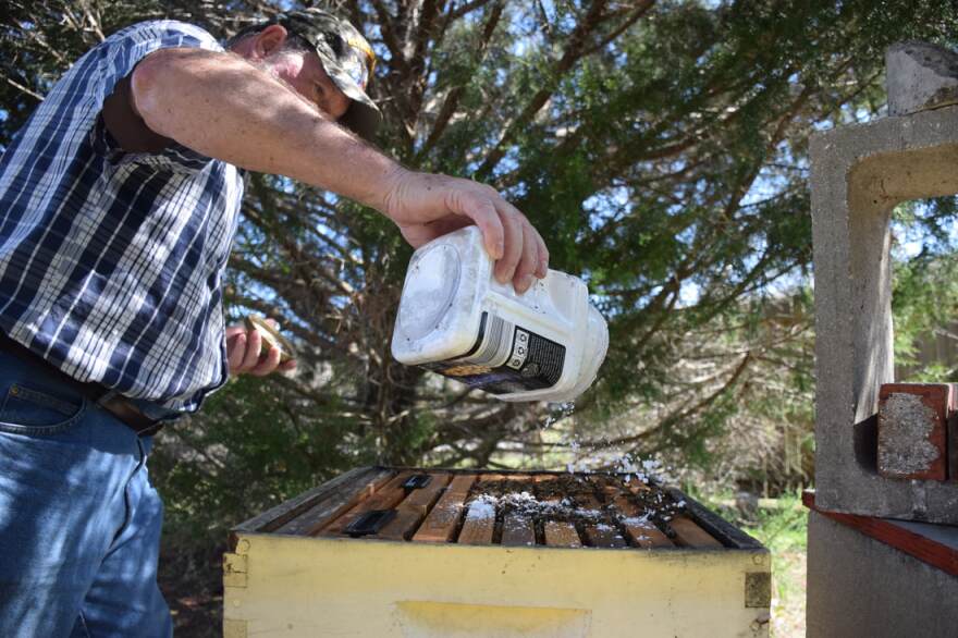 McChesney sprinkles powdered sugar to protect his bees from mites. (Brooke Henderson/WUFT News)